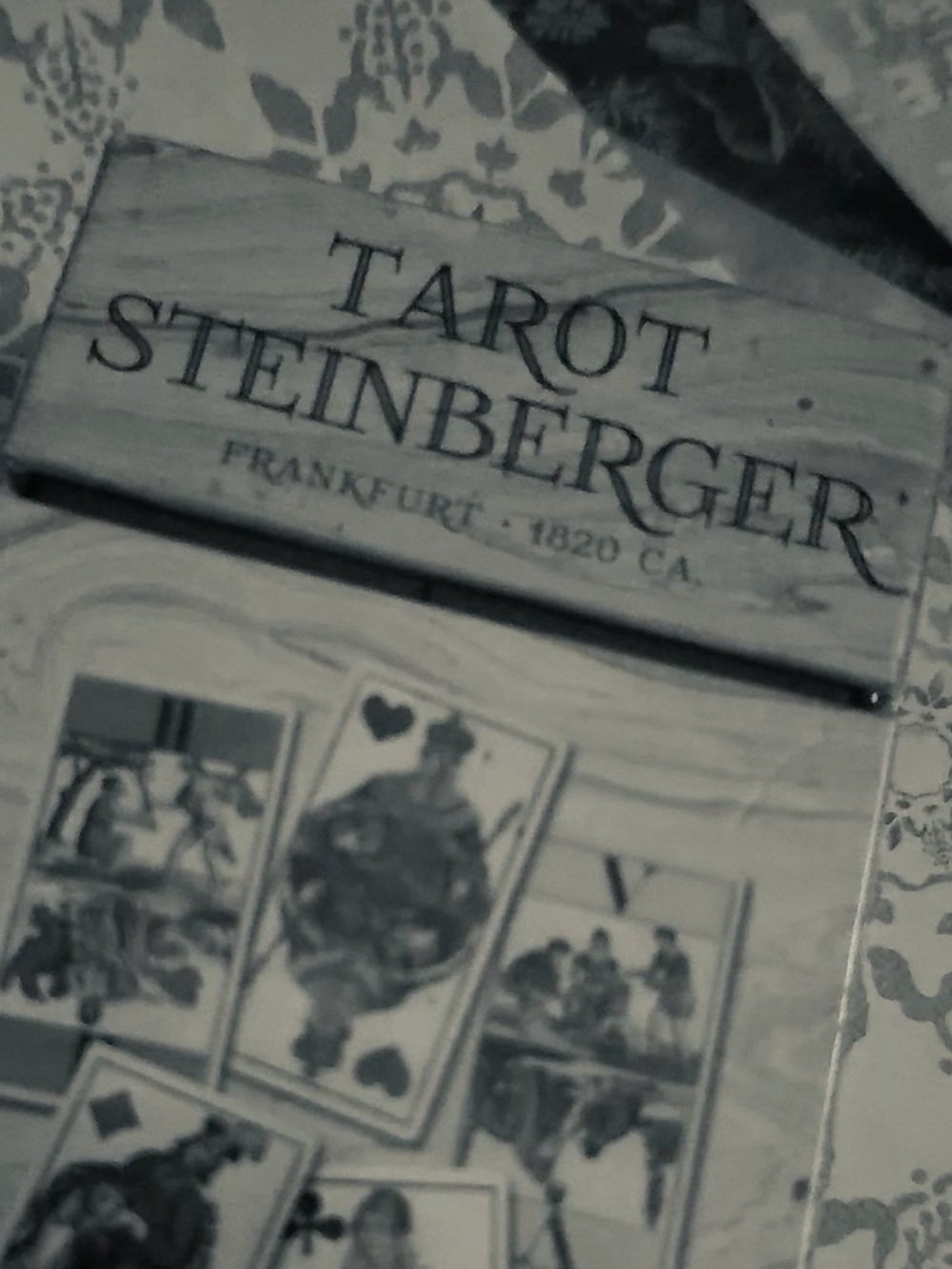 Tarot Steinberger Deck